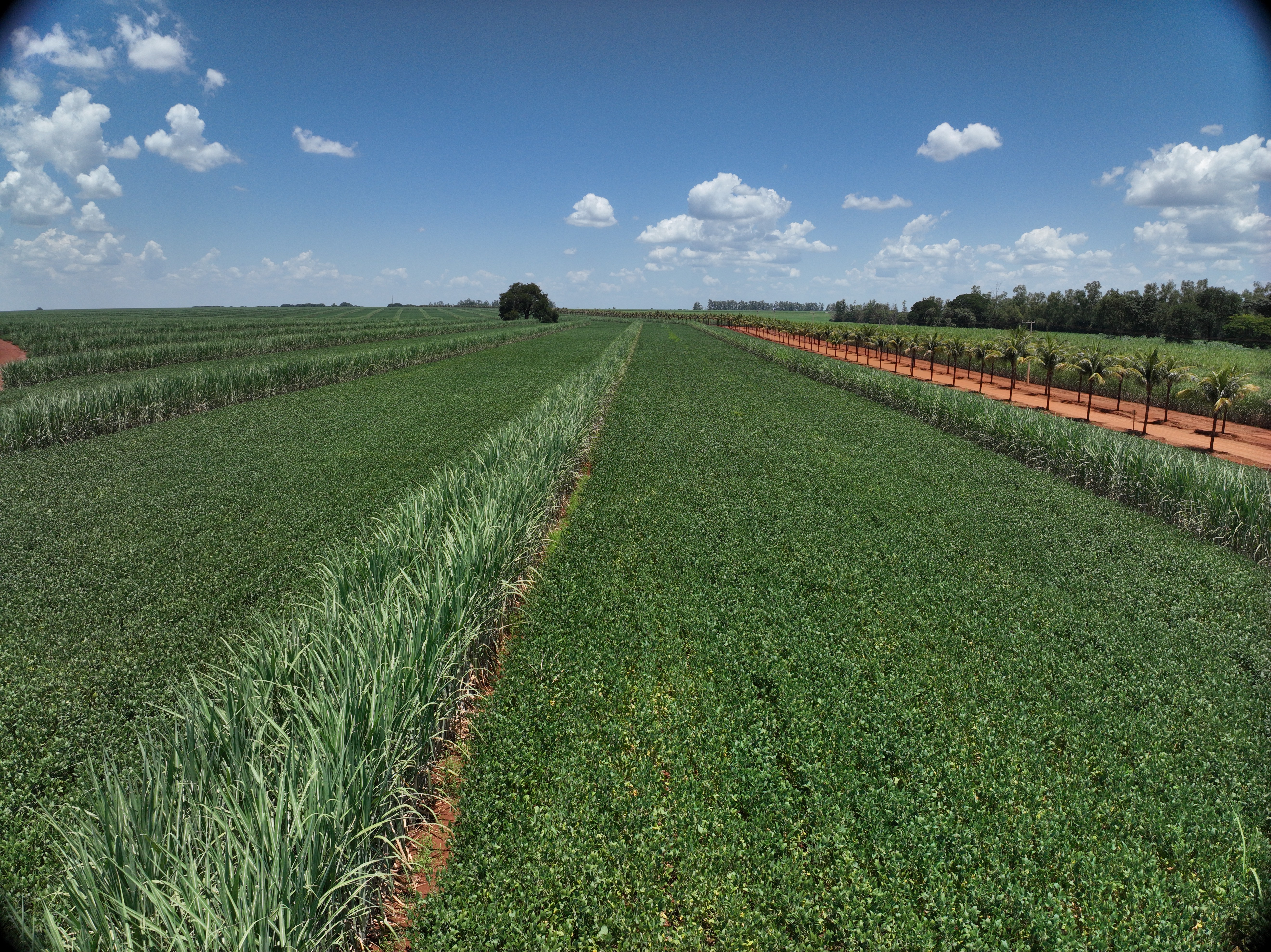 Grupo LPCD - Operação 2