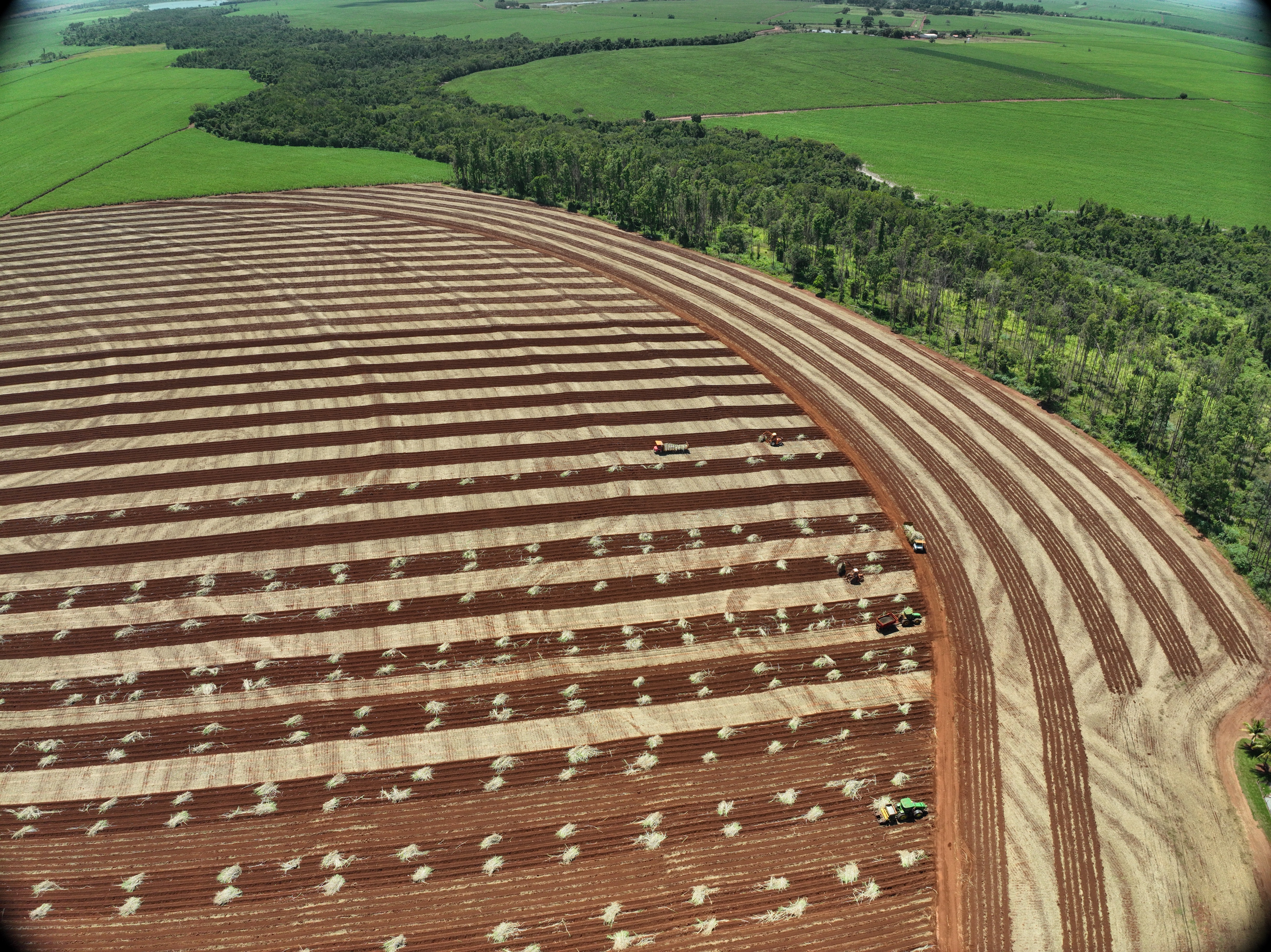 Grupo LPCD - Operação 1